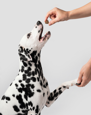 Multivitamin for Dogs 8 in 1 for Immunity, Coat and Vitality Oggo 180 g - 3