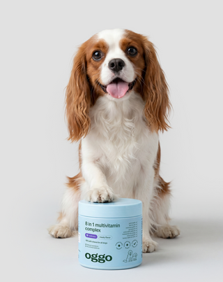 Multivitamin for Dogs 8 in 1 for Immunity, Coat and Vitality Oggo 180 g - 2