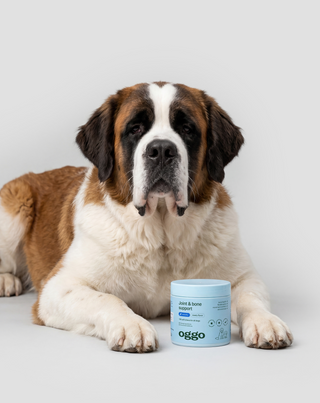 Joint and Bone Supplement for Large, Active and Senior Dogs Joint & Bone Support Oggo 180 g - 3