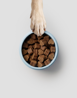 Joint and Bone Supplement for Large, Active and Senior Dogs Joint & Bone Support Oggo 180 g - 5