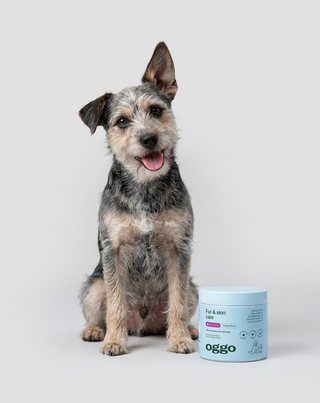 Coat and Skin Supplement for Dogs Fur & Skin Oggo 180 g - 2