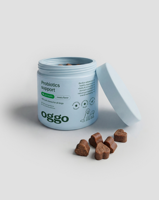 Bacillus velezensis Probiotic for Dogs for Digestion, Gut and Immunity Oggo 180 g - 4